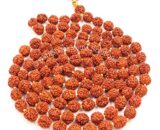 Rudraksha Mala