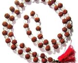 rudraksha mala beads