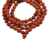 rudraksha japa mala