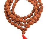 5 mukhi rudraksha