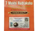 7 Mukhi Rudraksha