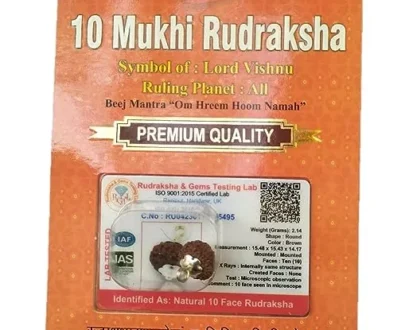 10 Mukhi Rudraksha