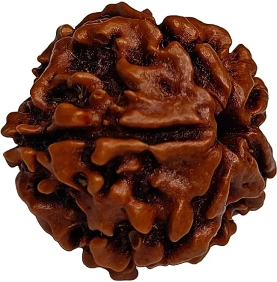 panchmukhi rudraksha