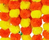 Marigold Garlands