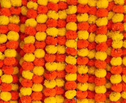 Marigold Garland