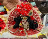 Laddoo Gopal Idol