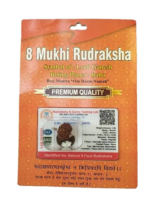 8 Mukhi Rudraksha: A Divine Manifestation of Wisdom and Prosperity